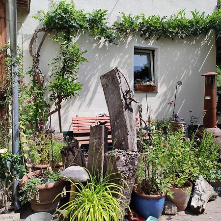 Gartenzimmer Mit Strassenbahn Zu Dom Und Messe Кьолн Екстериор снимка