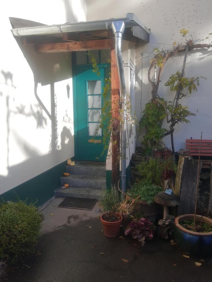 Gartenzimmer Mit Strassenbahn Zu Dom Und Messe Кьолн Екстериор снимка